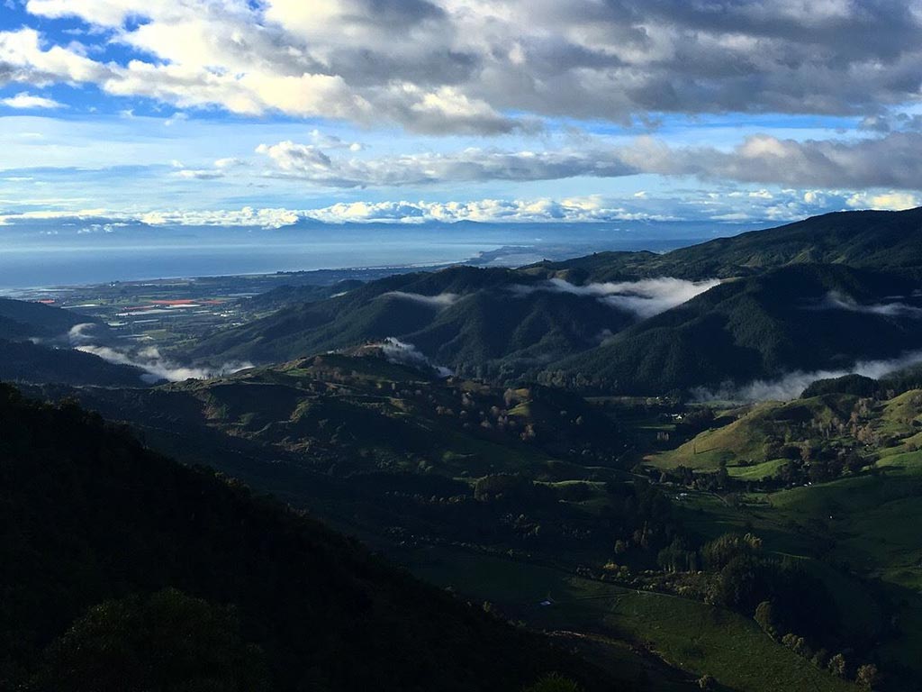 photo of New Zealand countryside